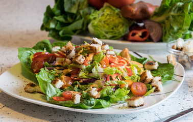 fresh vegetable salad with crunchy croutons and French dressing