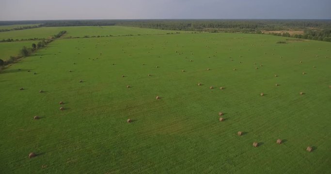 Huge field with hay bales, aerial descenting