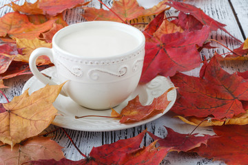 cup of english tea with milk on white table with maple leaves