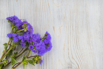 bouquet of violet flowers