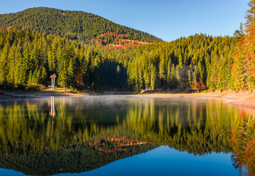 National Park Synevyr, Ukraine - October 23, 2016: forest reflection on foggy surface of Synevyr lake. high altitude mountain lake among spruce forest on beautiful autumn morning