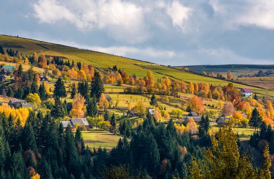 village on hillsides in mountains. beautiful countryside scenery with yellow trees