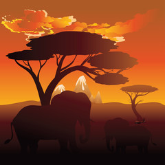 Naklejka na ściany i meble African Sunset with Elephant