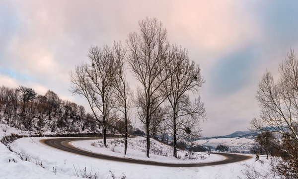 trees on serpentine on winter morning. lovely winter landscape with snow covered hills and cloudy sky