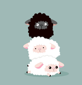 cute sheep background