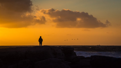 A lone walker watches a flock of birds flying in front of the setting sun