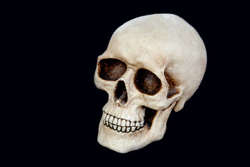 Creepy human skull