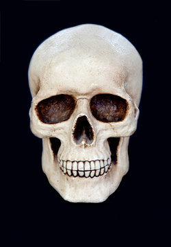 Creepy human skull