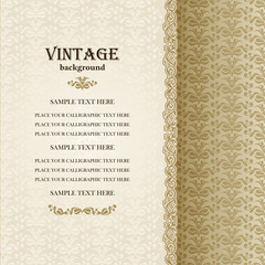 Vector Vintage Card Design, Layout of Cover with Ornamental Lace Border