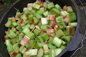 fresh red rhubarb from the vegetable garden