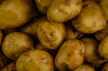 Background of the young potato