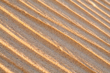 Close up macro texture of sand dune in Sahara desert.