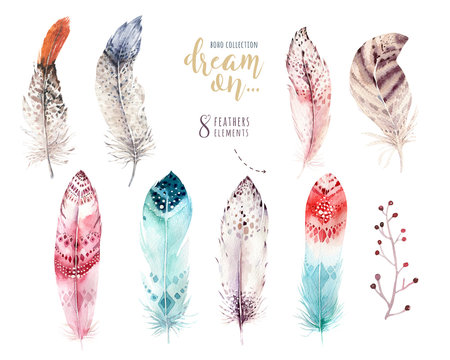 Hand drawn watercolor paintings vibrant feather set. Boho style wings. illustration isolated on white. Bird fly design for T-shirt, invitation, wedding card. Rustic Owl decoration