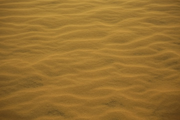 Texture sand in the desert