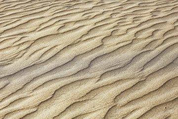 Fototapeta na wymiar texture desert land sand dunes barkhans, deserts