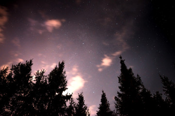Night sky with stars fnd clouds in the forest