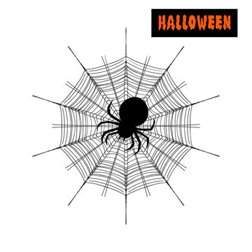 Spider on a cobweb vector illustration. Halloween sign text. Halloween poster, invitation or banner.