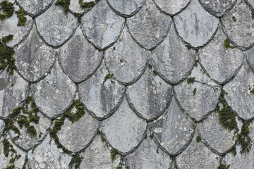 Texture of the shale roof in Norway