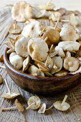 Honey mushrooms on a wooden table