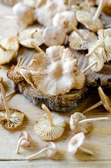 Honey mushrooms on a wooden table