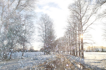 Alley in the winter park