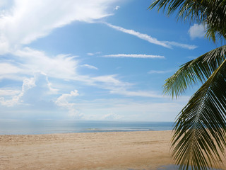 Beach and coconut
