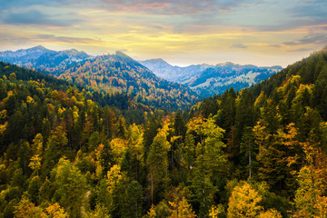 Herbstwald