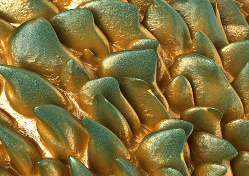 Green Gold Rocks