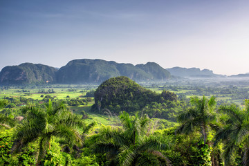 Fototapeta na wymiar Beautiful morning view of green fields, trees and mogotes in Vinales Valley Cuba