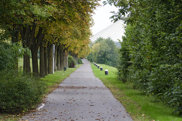 Alley along the river Danube