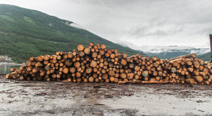 Sawn logs stacked in a pile at the sawmill