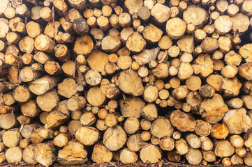 Sawn logs stacked in a pile at the sawmill. Close-up. Background