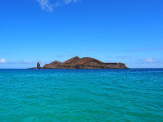Genovesa - Galapagos Islands, Ecuador