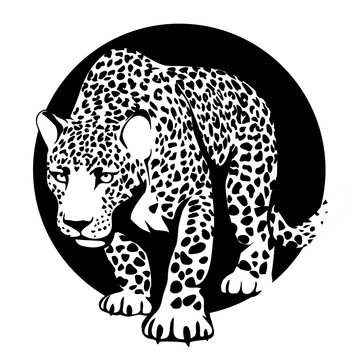 black and white silhouette of a leopard in a black circle