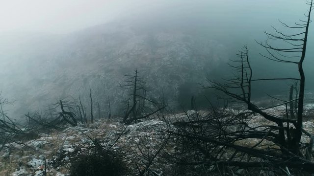 4K25p Pov shot of a barren land,burned out forest in mist and fog