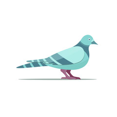 pigeon-flat-vector