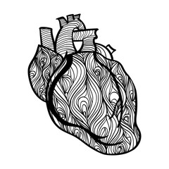 Black and white vector of human heart. Hand drawn doodle decorated with waves