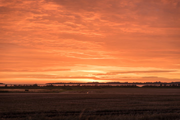 Sonnenuntergang an einem Feld