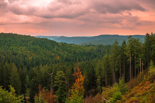 Fototapeta Panoramic view from the Black Forest High Road in Germany.