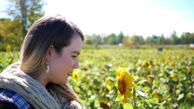 Attractive millennial girl smells a sunflower in a country field