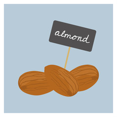 Vector Nuts - Almond - 175199327