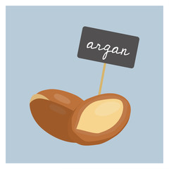Vector Nuts - Argan