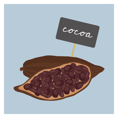 Vector Nuts - Cocoa