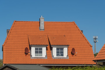 Schornstein und Zweig Gauben auf einem Dach