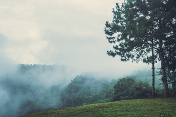 Landscape natural view sky mountain. Fog in the rainy season. Thailand