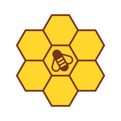 Bee on honeycombs