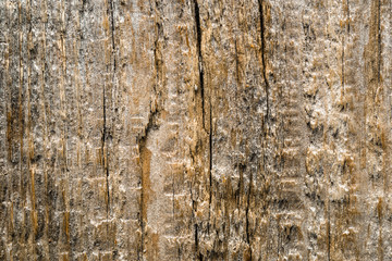 Obraz premium Rough wooden texture, rustic background of wood, close-up of structure, panel surface with empty copy space