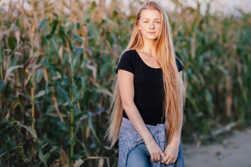 Fototapeta premium Outdoors lifestyle portrait of young adorable fresh looking redhead woman with freckles gorgeous extra long hair corn field sunny evening. Emotion and facial expression concept.