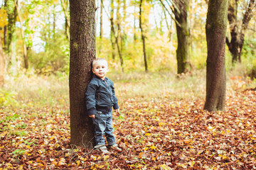 Little boy walking in autumn forest