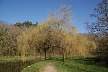 Obraz premium Balade randonnée Sautron Loire-Atlantique France